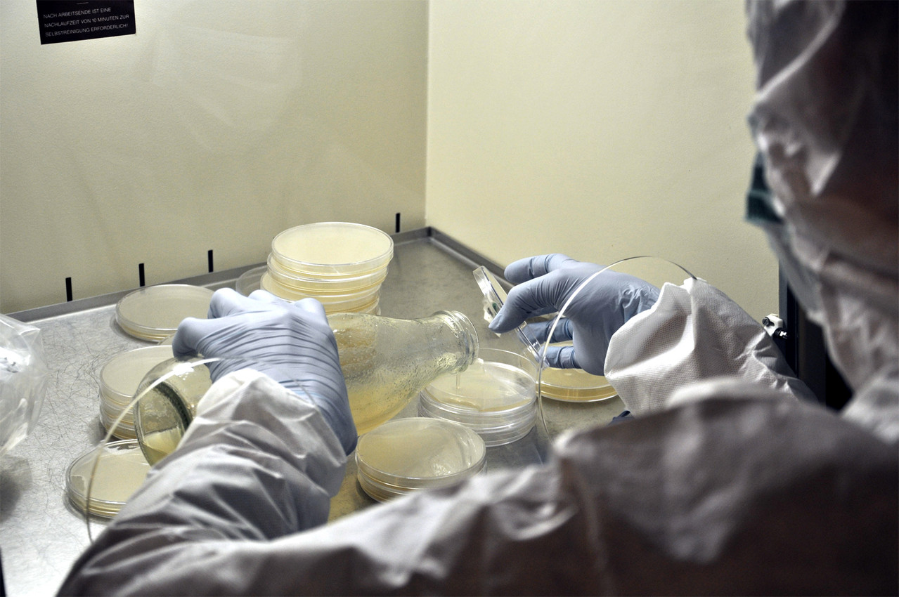 MalzextraktAgar Pulver