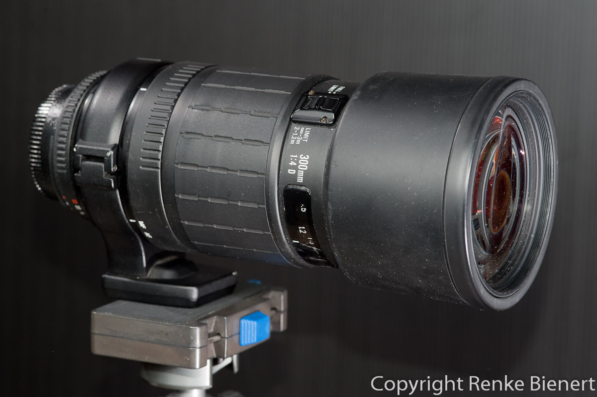 SIGMA APO TELE MACRO 300mm F4 D ニコン#858 シグマ Sigma APO TELE