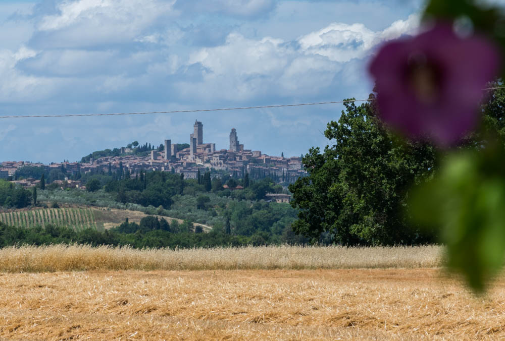 Skyline von San Gimignano.