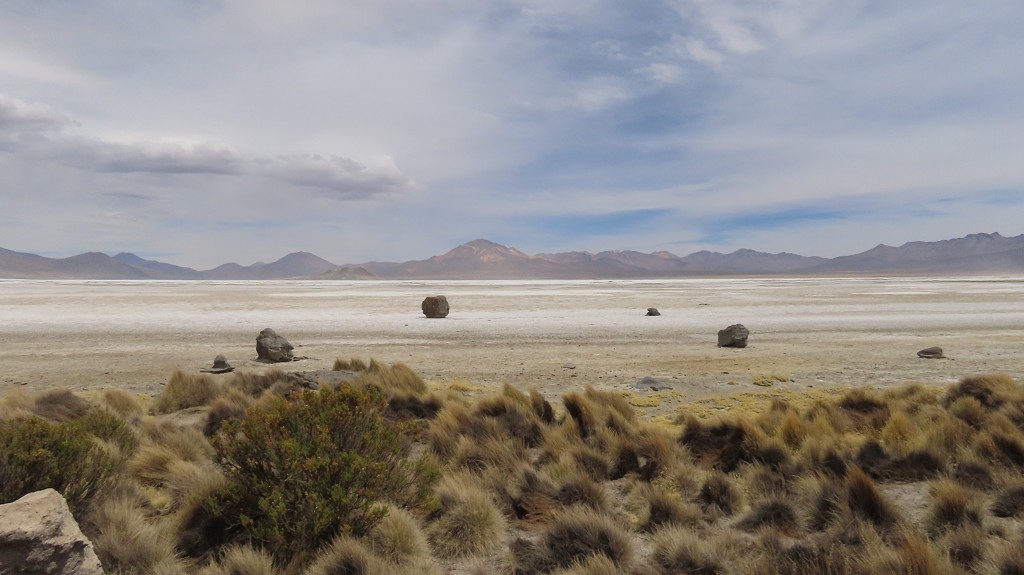 Wir erreichen die Salar de Surire