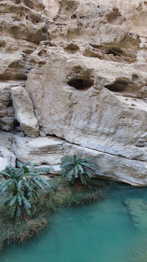 Spaziergang durch das Wadi Shab