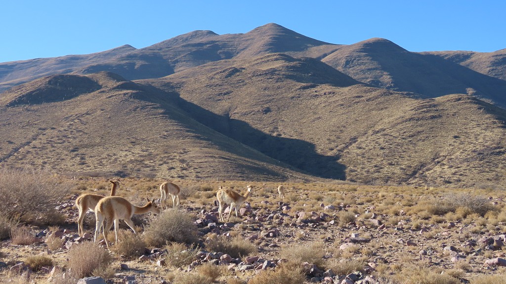 Piste zum Cerro Hornocal