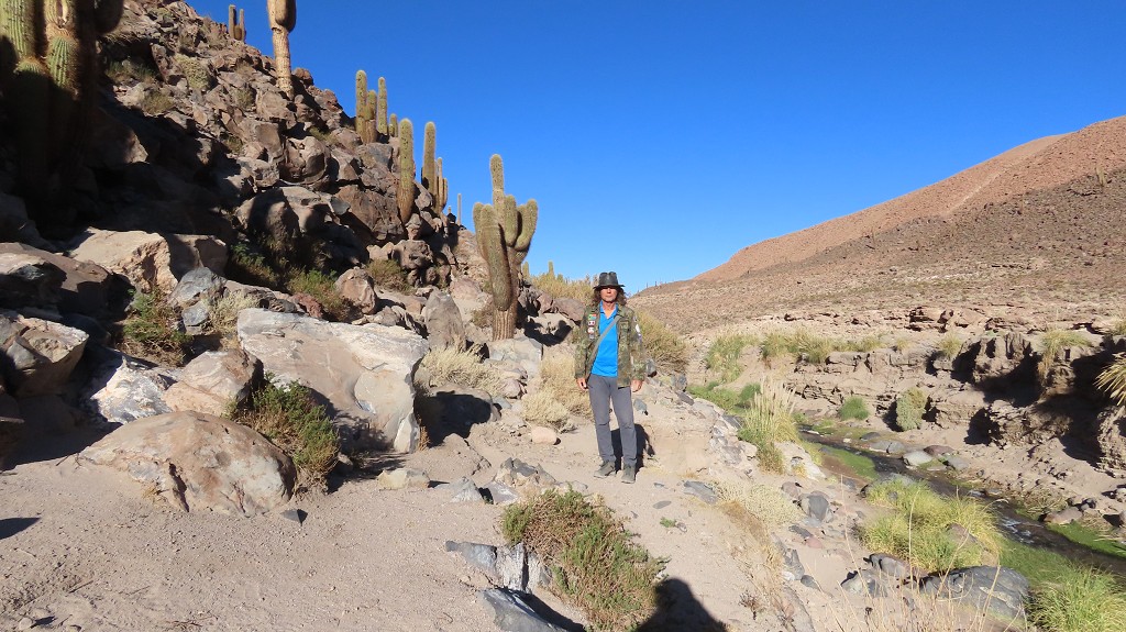 Quebrada de Cardones