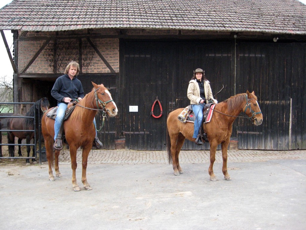 Zurück auf der Ranch