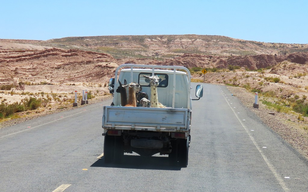 Auf dem Weg nach Uyuni