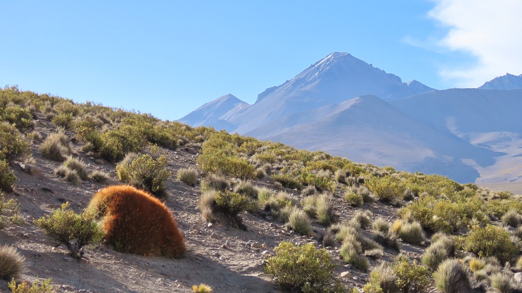 Parque Nacional Lauca 