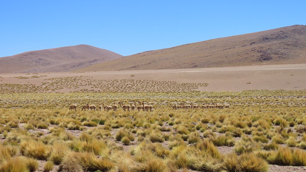 Fahrt Richtung San Pedro de Atacama