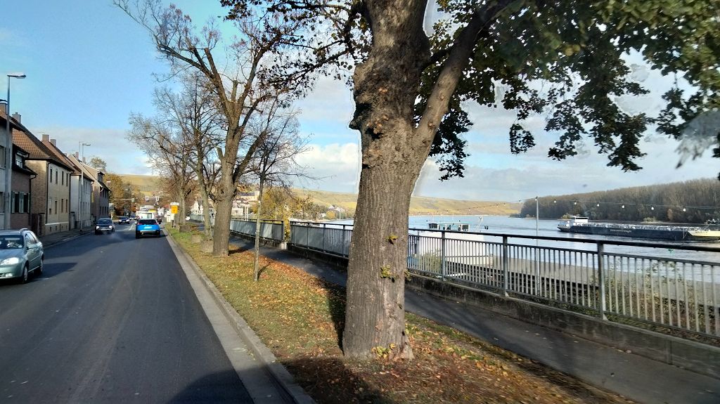 Am Rhein bei Nierstein