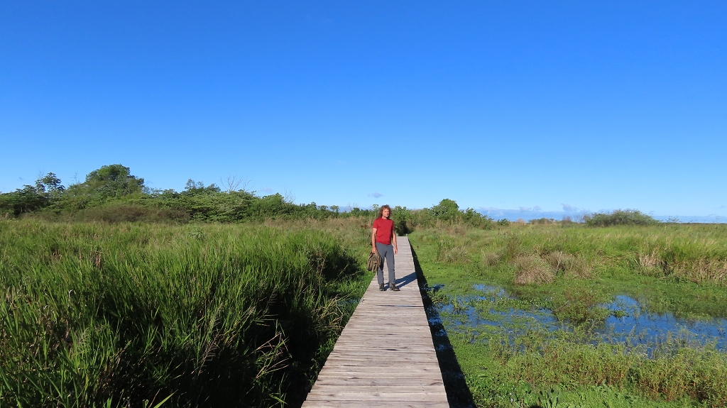 Rundgang in den Esteros del Iberá