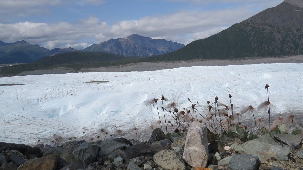 Root-Glacier-Trail