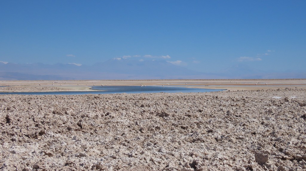 Laguna Chaxa