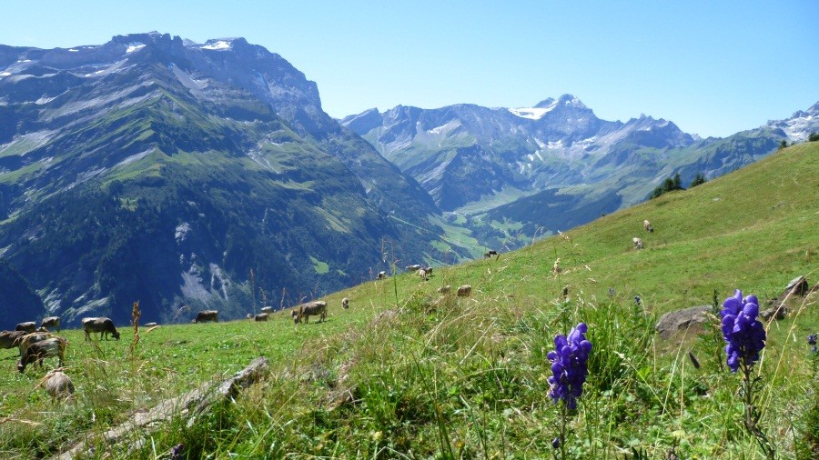 Wanderung: Elm - Gamperdun - Fanenstock - Ramin - Elm