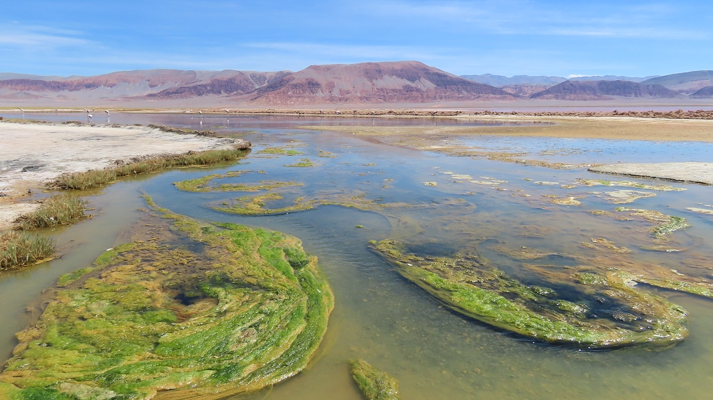 Laguna Carachi