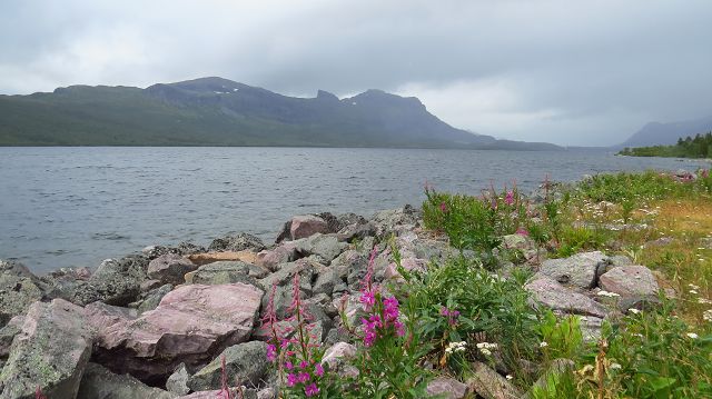 Stora Sjöfallet Nationalpark