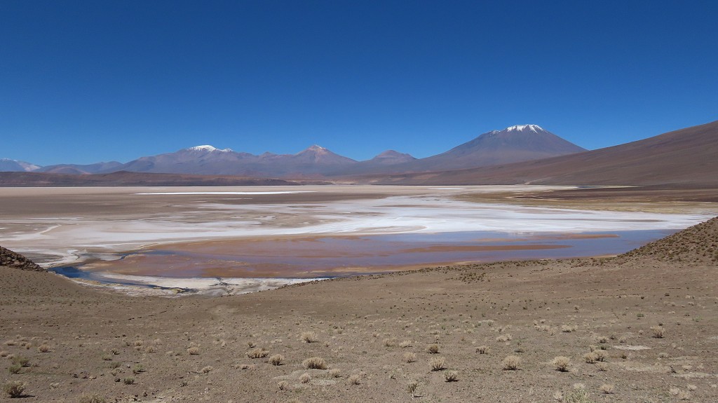 Salar de Carcote