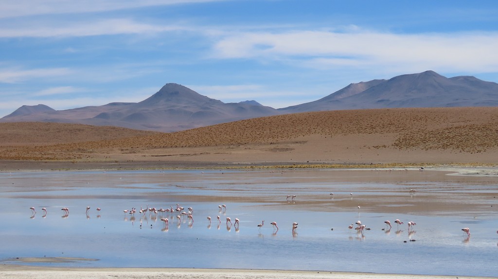 Laguna Chalviri
