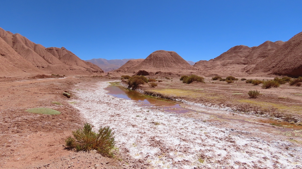 Los Colorados