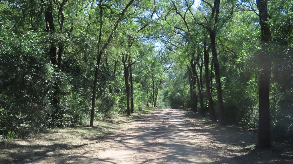 Wir sind im Nationalpark Chaco