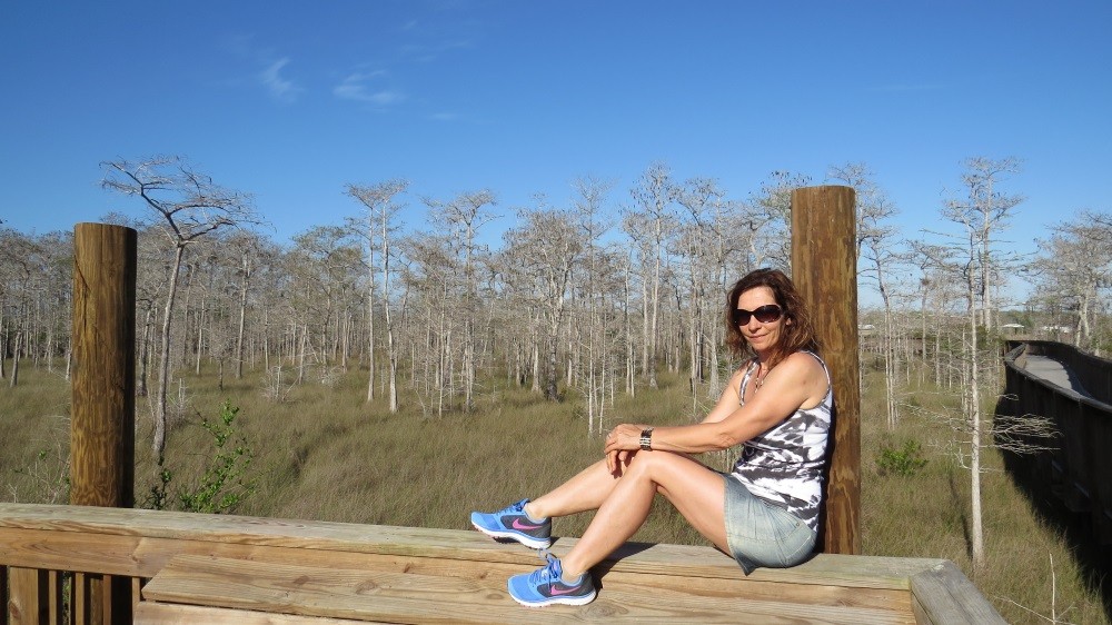 Boardwalk durch den Park