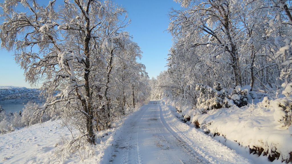 11:15 Uhr   -16,5° C