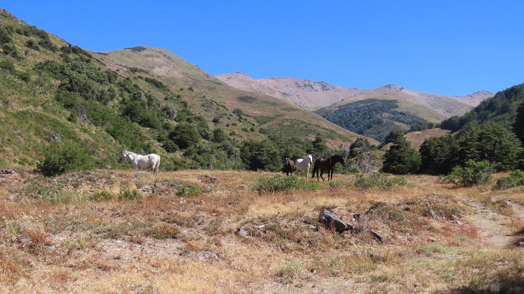PN Lanin, Ruta 62