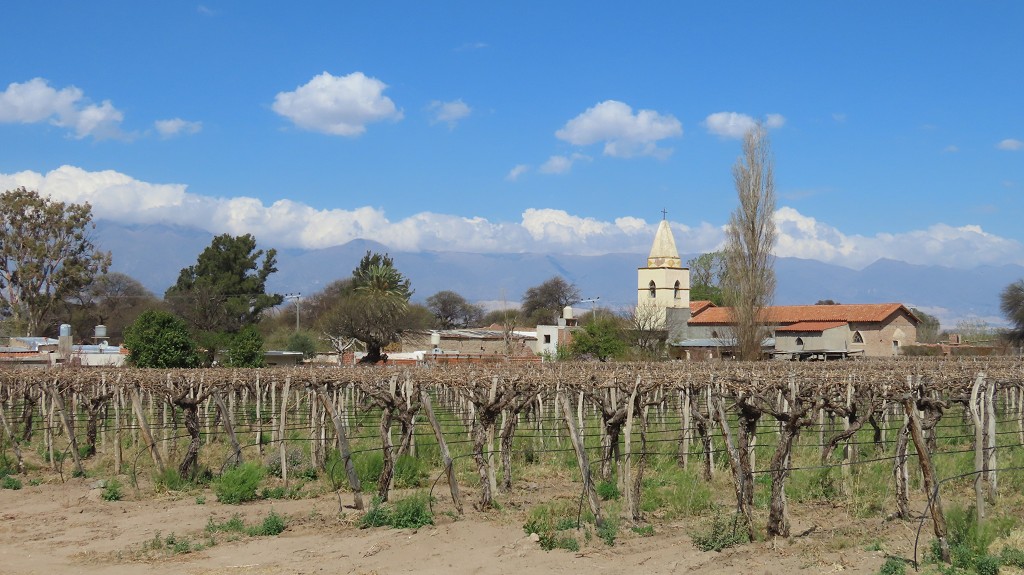 Cafayate an der Weinstrasse