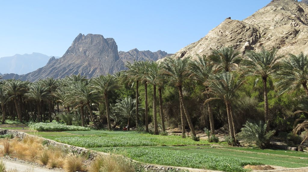 Auf Gebirgspisten vom Wadi Bani Awf ins Wadi Sahtan