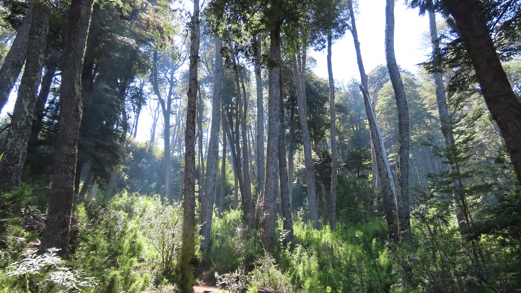 Wanderung zum Wasserfall "El Saltillo"