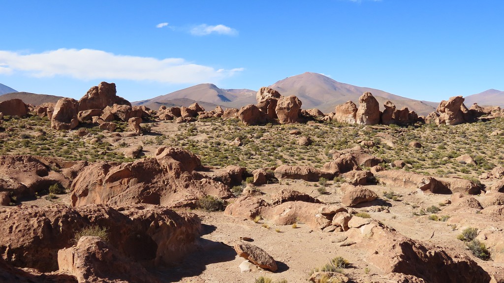 Valle de las Rocas, 4100 müM