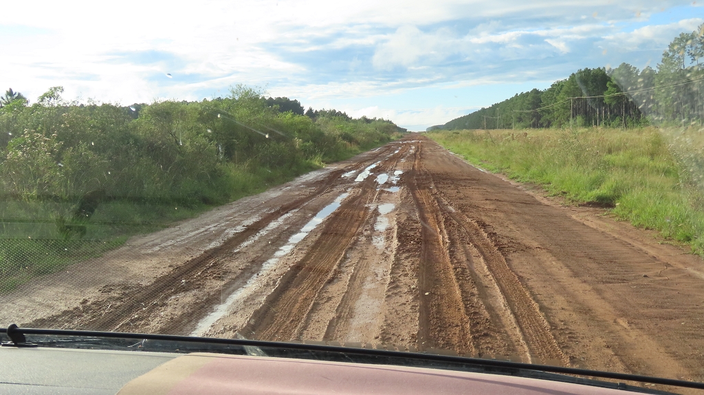 Rückweg am nächsten Tag