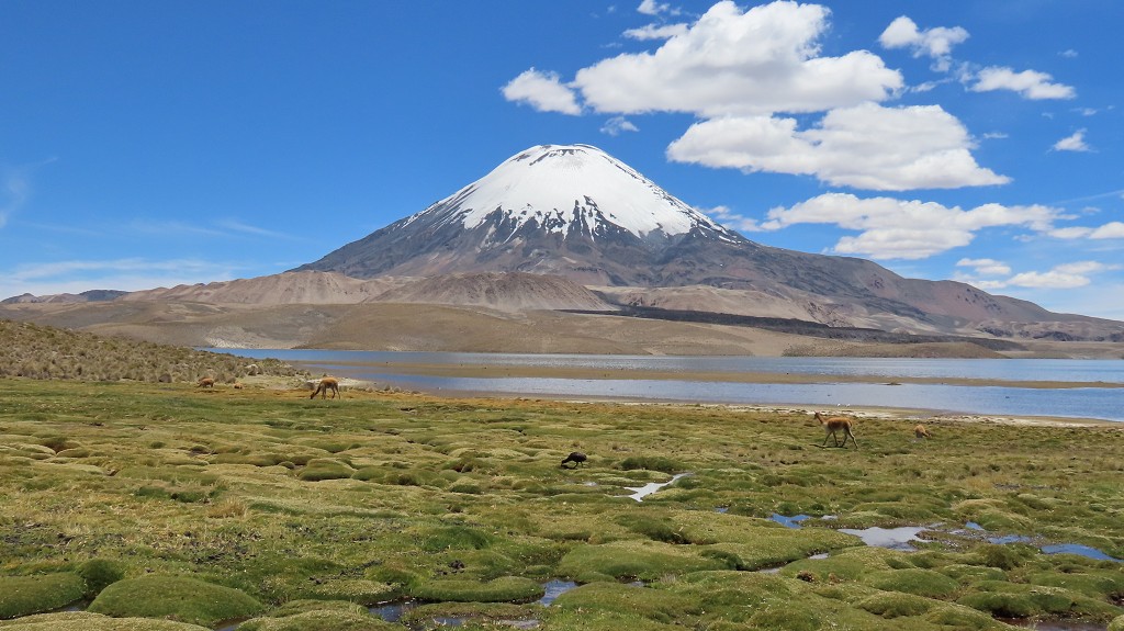 Am Lago Chungara