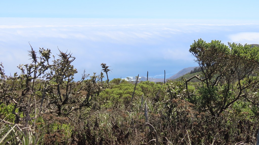 Nationalpark Fray Jorge
