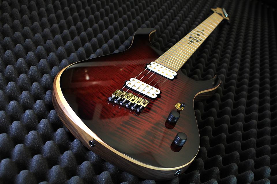 Gallery VanderMeij Guitars custom guitars made in Amsterdam