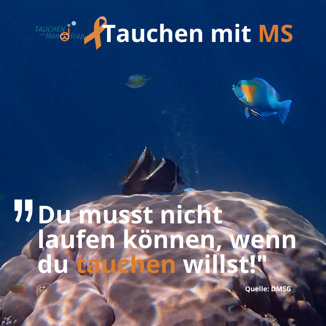 Tauchen mit MS - Du musst nicht laufen können