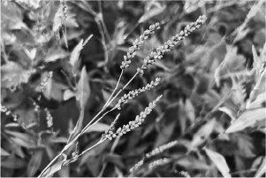 2025.11月号　No.188