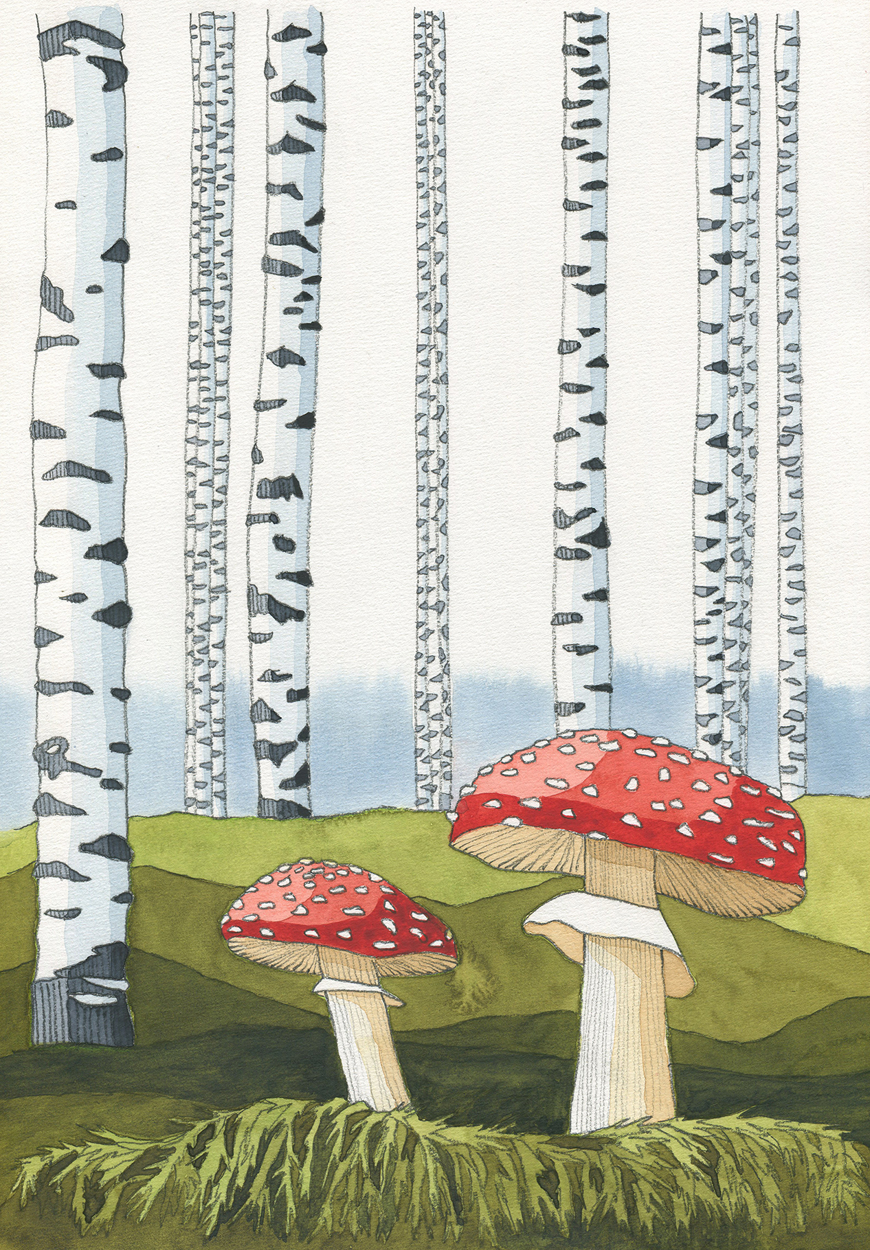 Fliegenpilze im Birkenwald