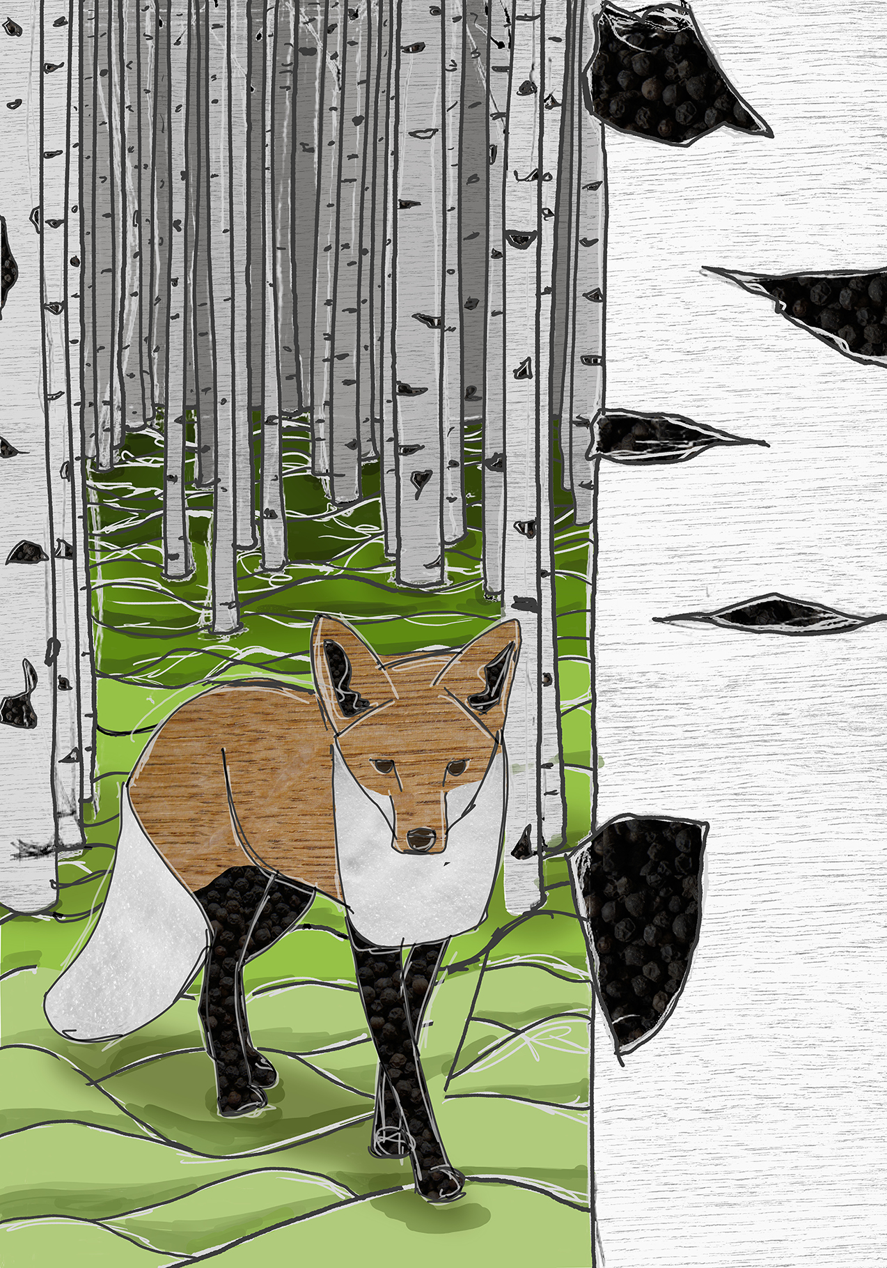 Fuchs im Birkenwald, Digital Painting/Collage