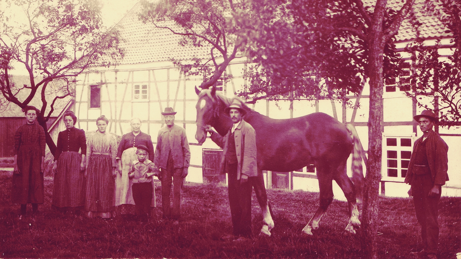 Deilbach Mystery Saga