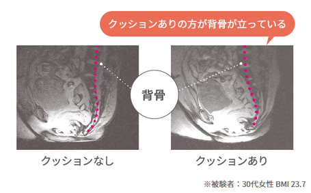 背骨を立てて座る姿勢をキープ