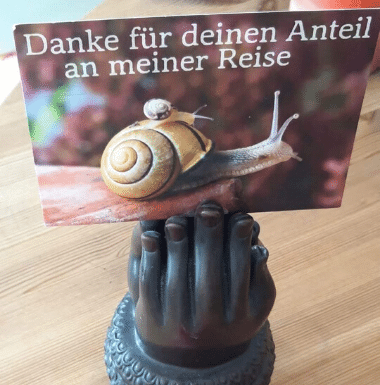 Die Schnecke und der Mistkäfer