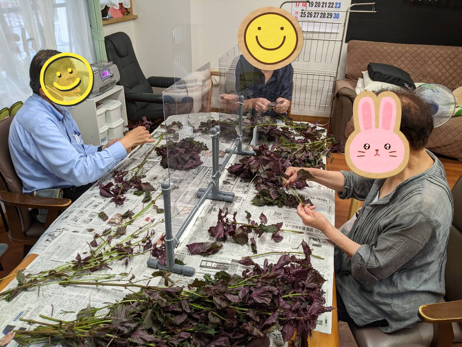 【しそジュース作り】