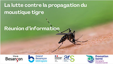 Moustique tigre