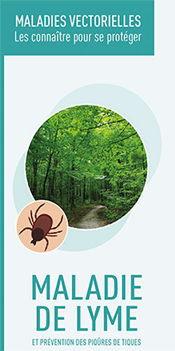 Flyer CRMVT