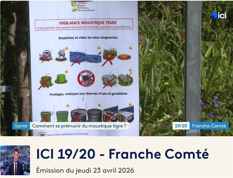 Reportage France 3 – moustique tigre