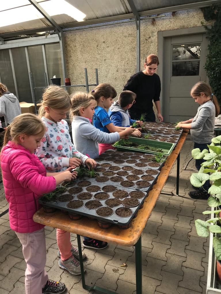 3. Klasse im Garten Schulen Menznau