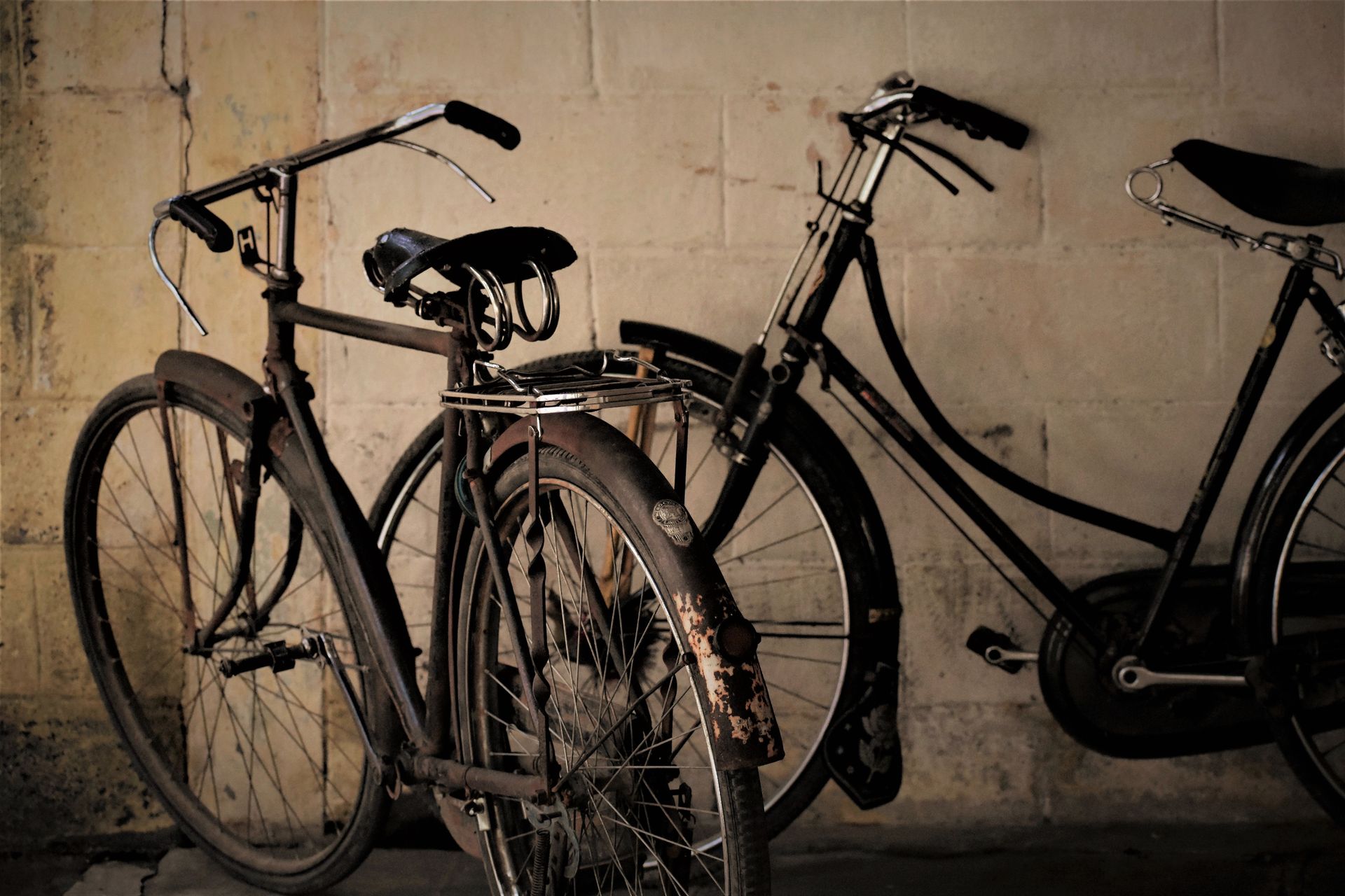 Fahrradverleih, Bamberg, RadlDran Fahrradverleih RadlDran, Bike