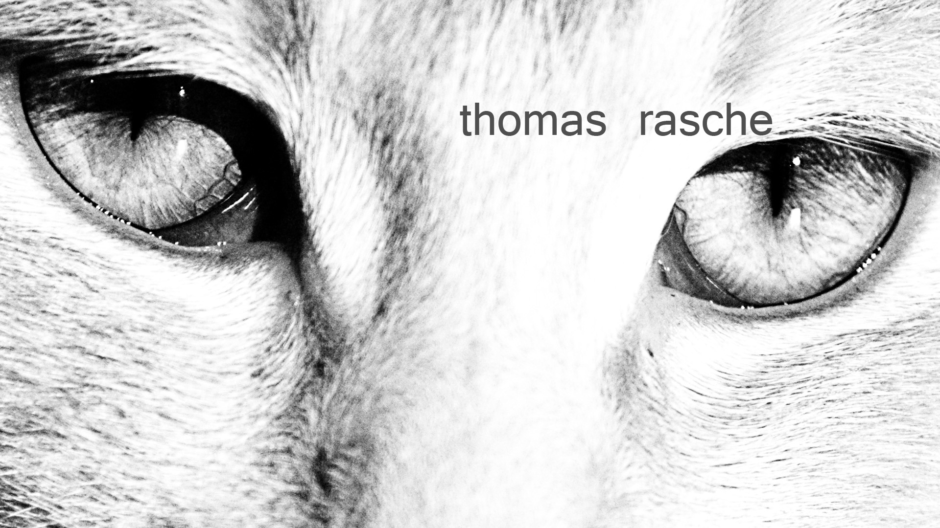 (c) Thomas-rasche.de
