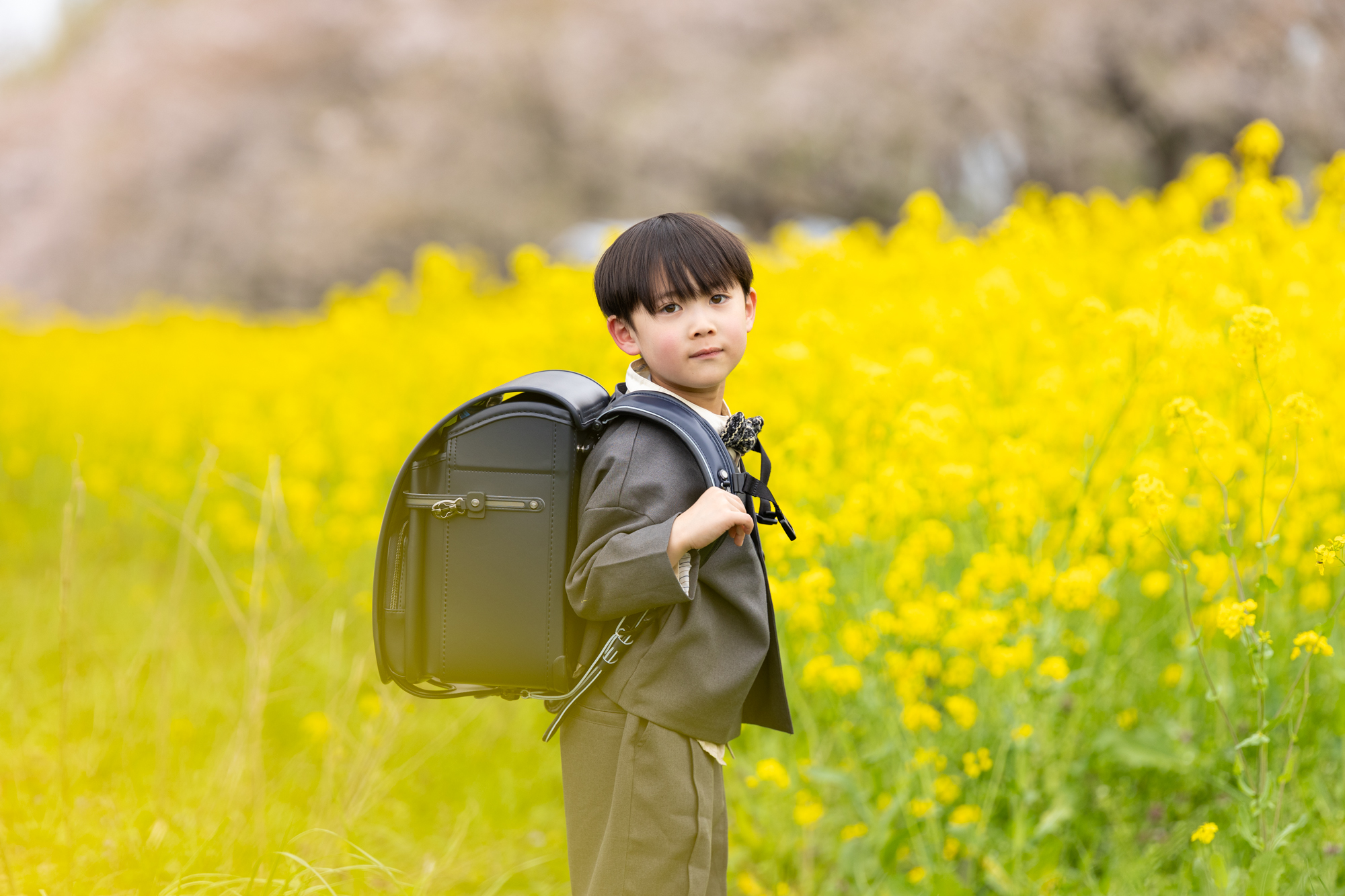 秋田　菜の花ロード　入学　入園