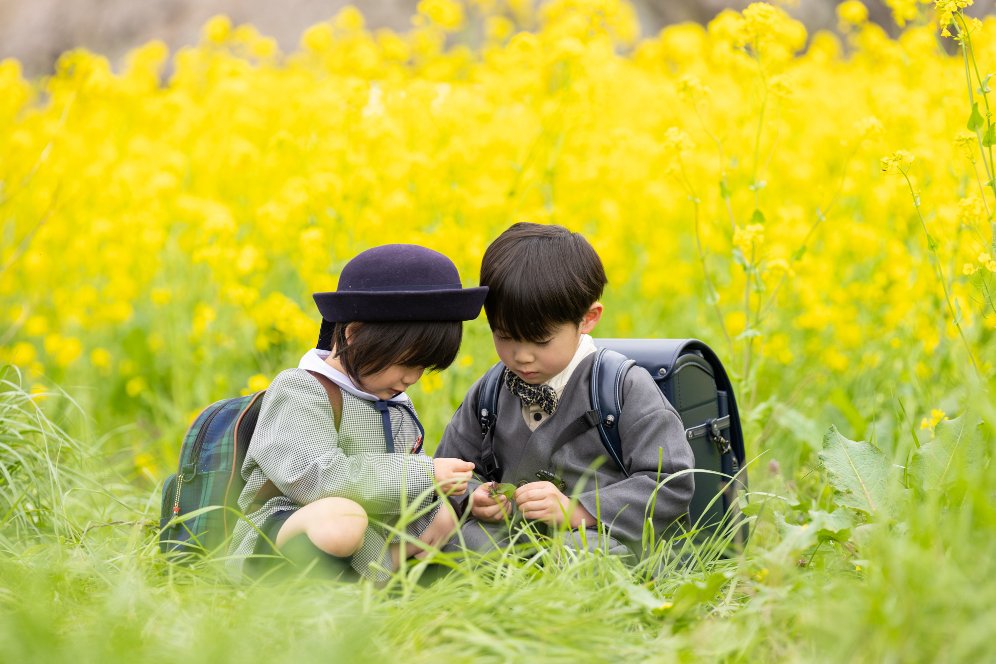 秋田　菜の花ロード　入学　入園