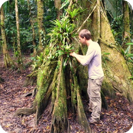 Krabbeltiere: Auf der Suche nach Anschauungsmaterial für meine Gäste (Belize 2013).